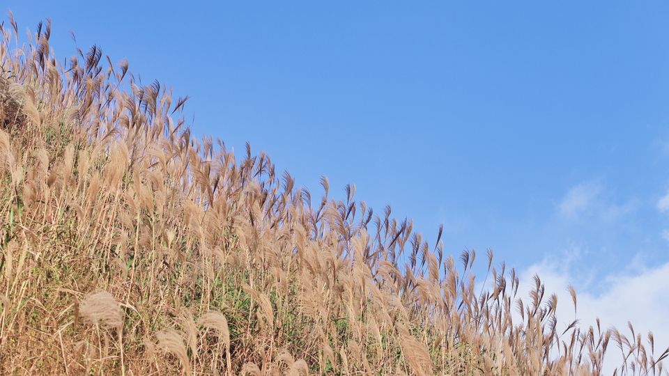 微信图片_20191125093125