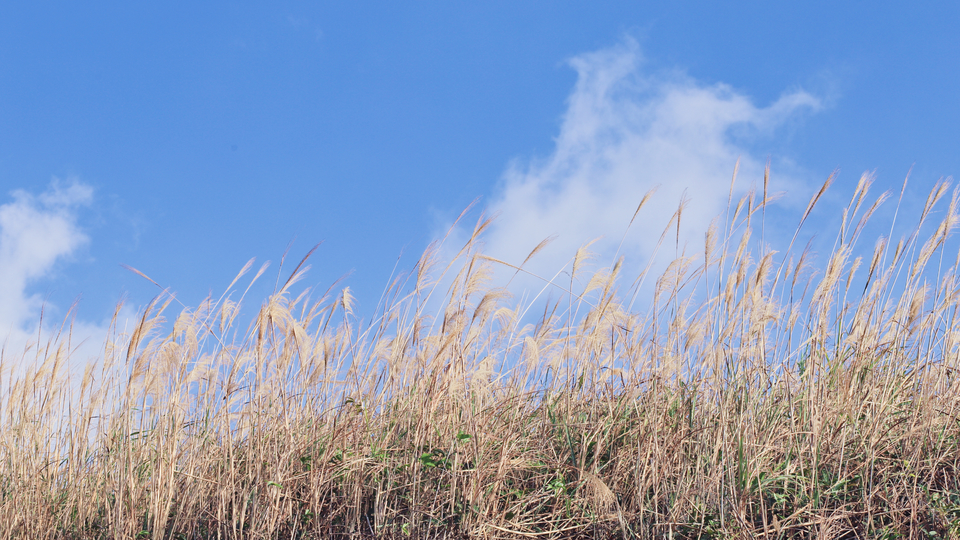 微信图片_20191125093139