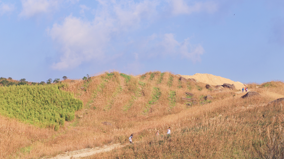 微信图片_20191125093147