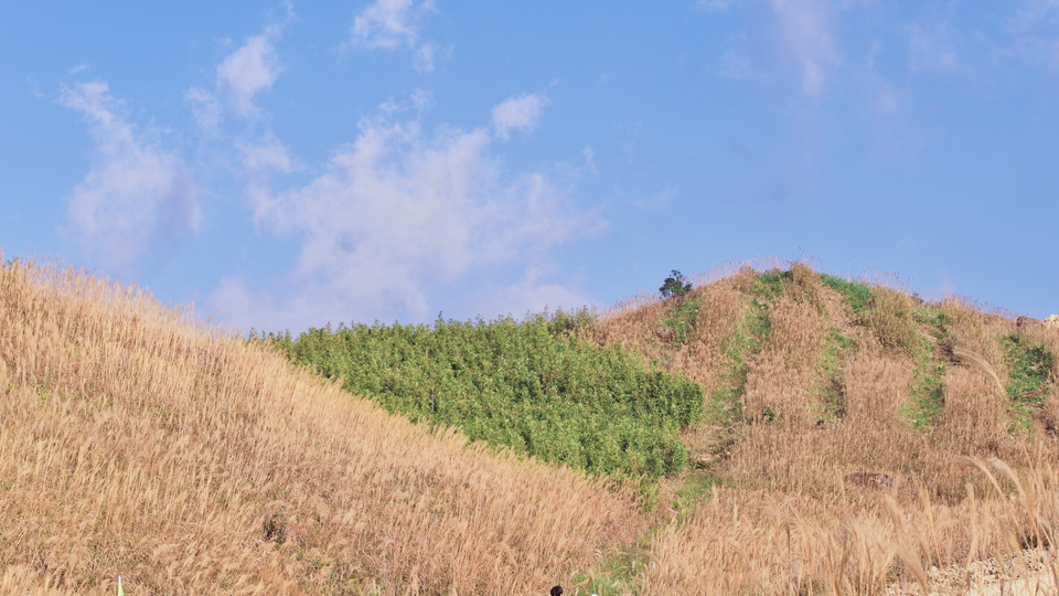 微信图片_20191125093156