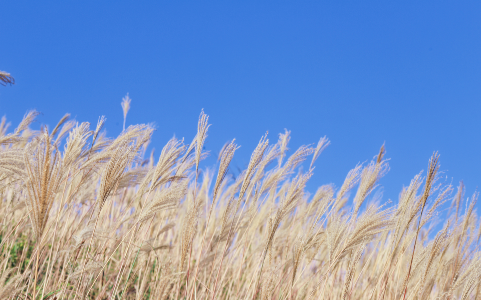 微信图片_20191125093208