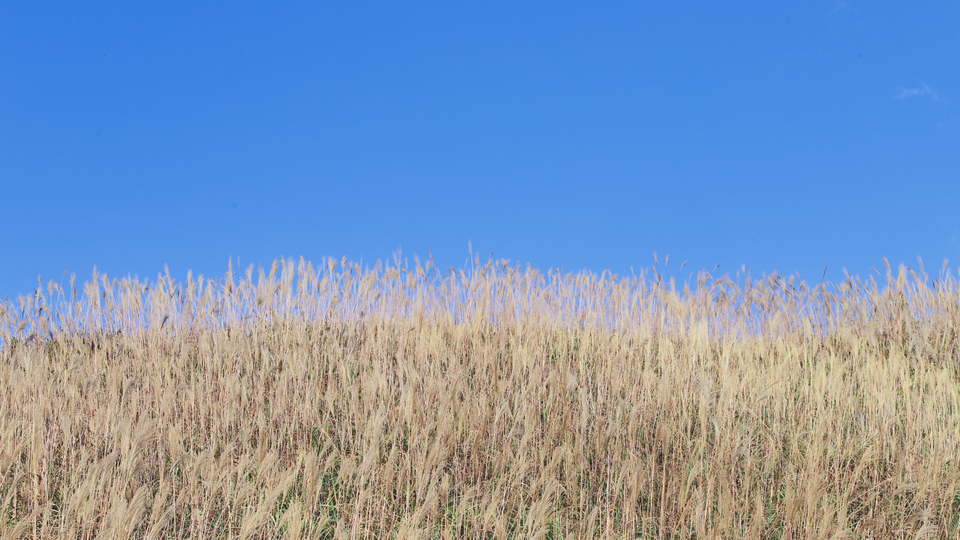 微信图片_20191125093215