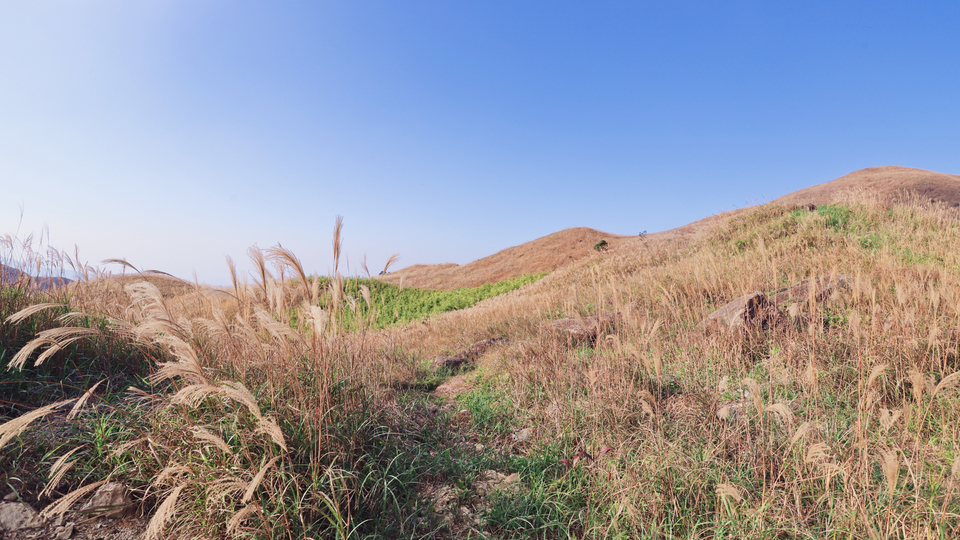 微信图片_20191125093222