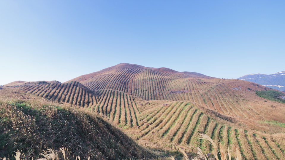 微信图片_20191125093230