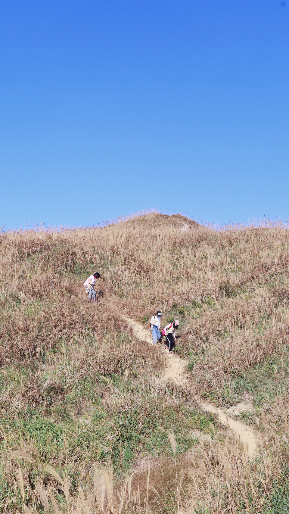 微信图片_20191125093236