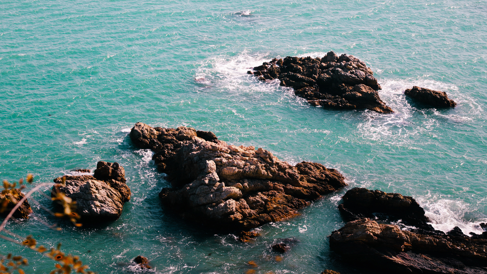 微信图片_20191202092446