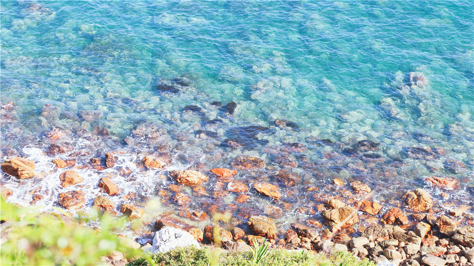 微信图片_20191225110519