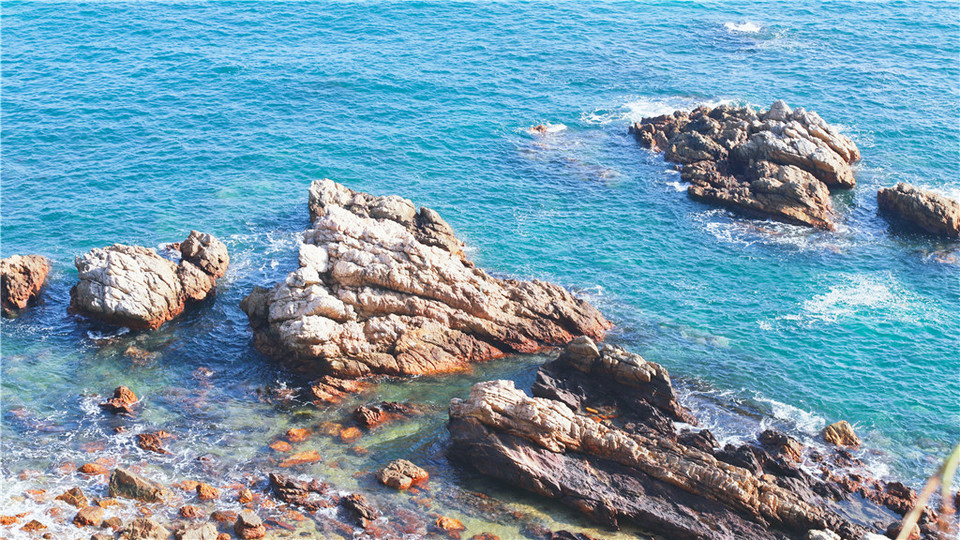 微信图片_20191225110609