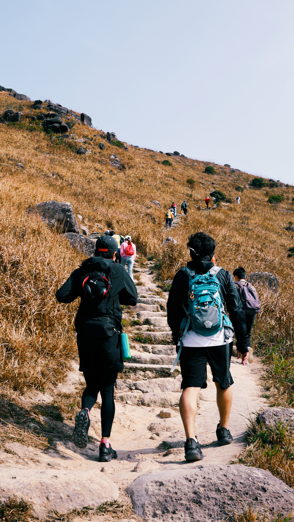 微信图片_20200113095602