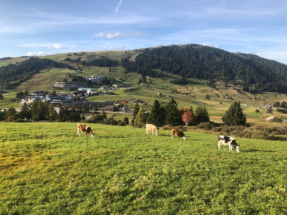 54C19587-C58C-4D3F-B982-DF119E889CC1