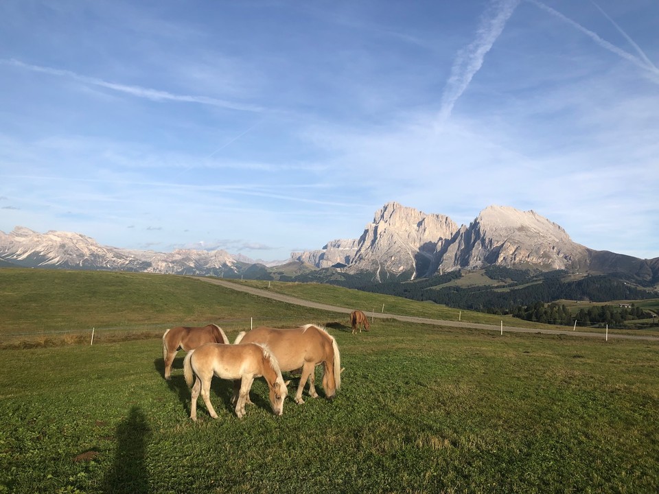 6A7D7072-5A72-4060-9BD4-33C30740ADC8