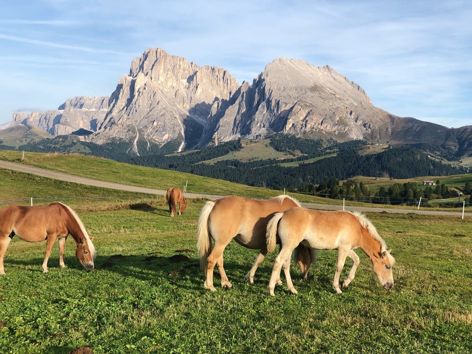 EA80A14C-0B3D-4212-9184-E88BA196E036