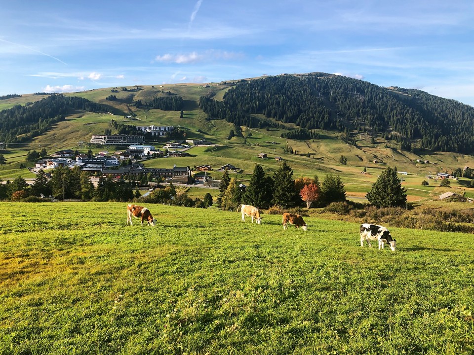 E272C8FF-5D10-4B27-98C8-0425A8C4056D