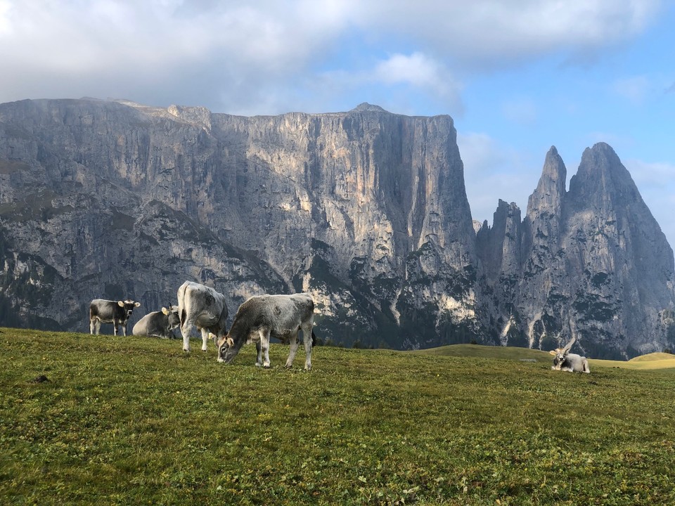 6E705755-101A-45BB-B8FA-5F3A7B5486C6