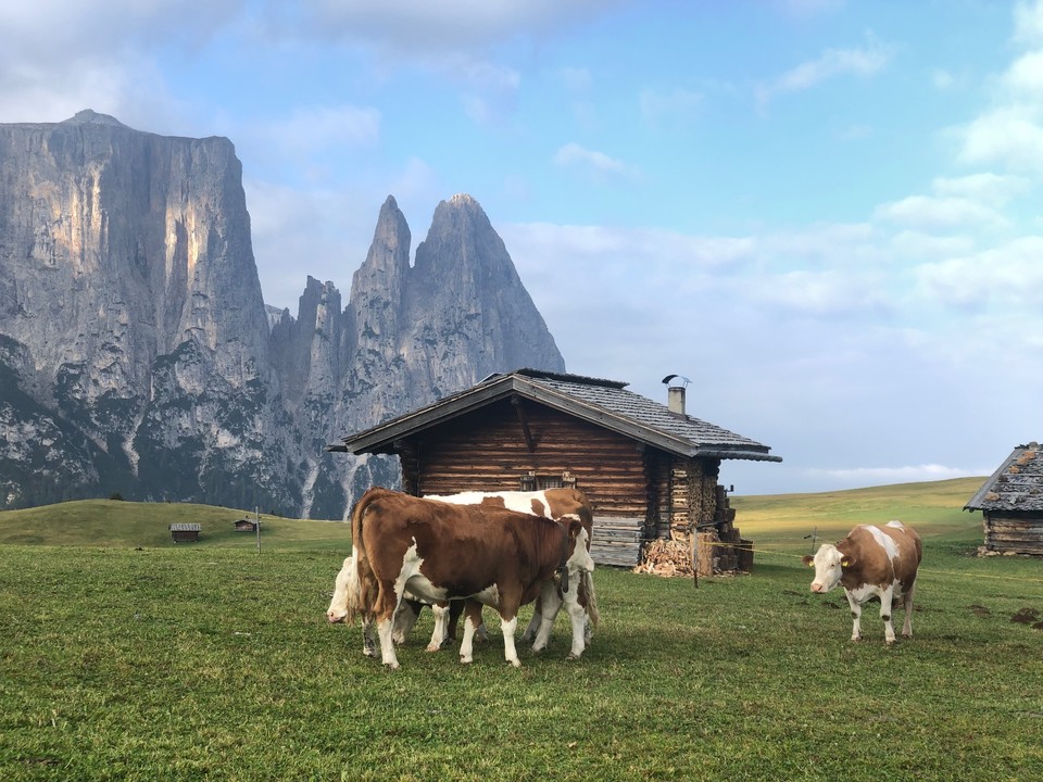 9008DD4C-E62F-4570-A899-038296529632