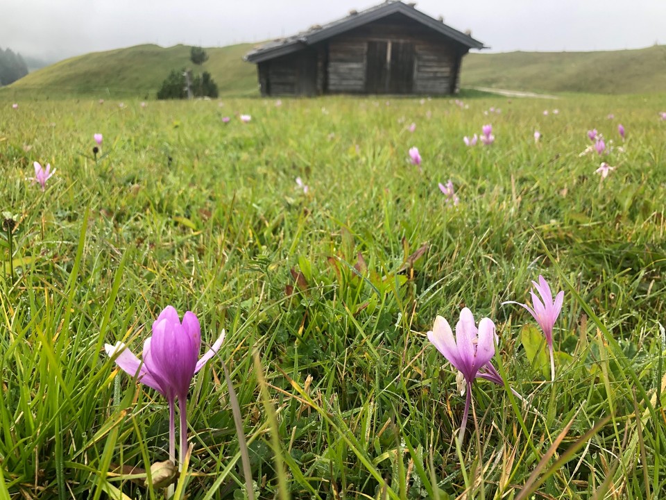 0932E90E-4688-4D94-8029-FFFEA9C3E419