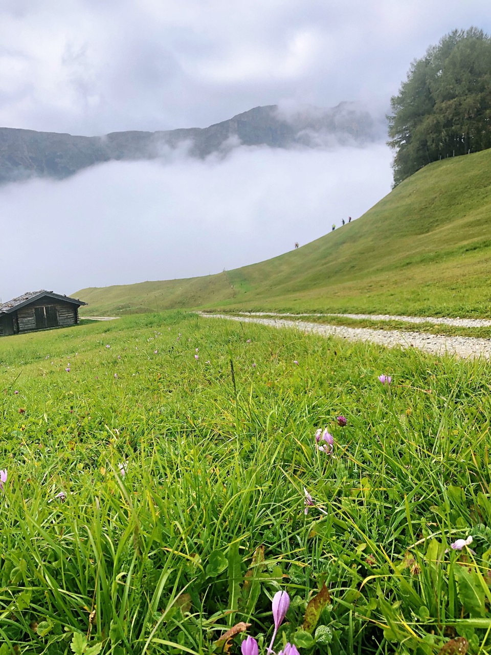 62584935-7B13-4363-B6E7-29ACEEE85C8D