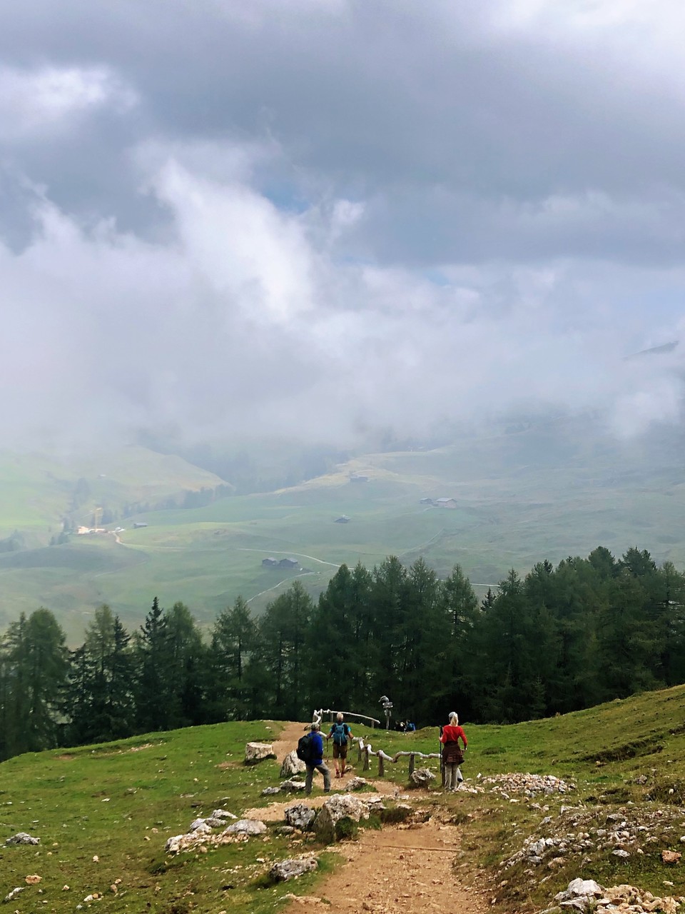 84E95F07-9729-4E5A-9043-C28292BDDB0B