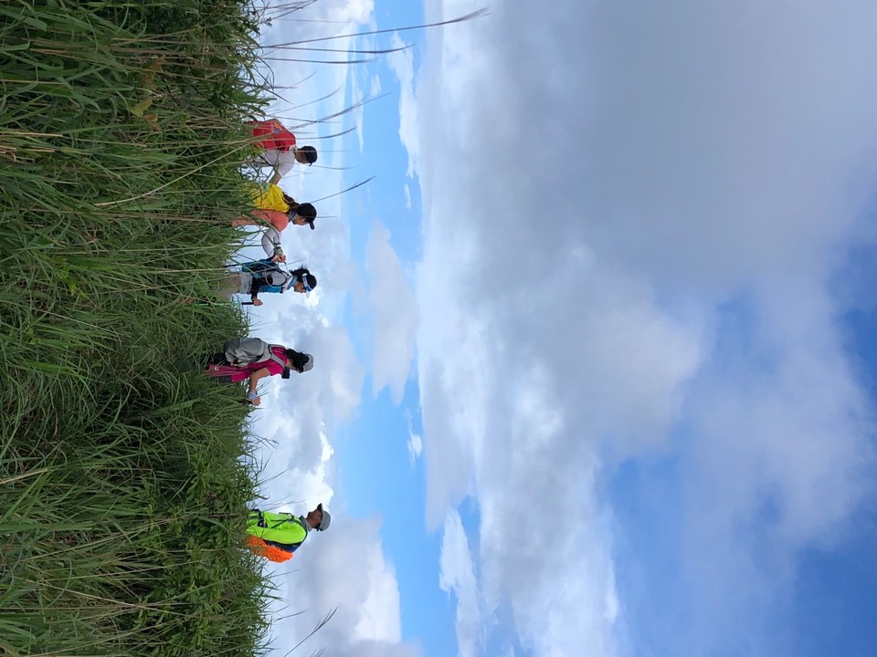 BEB726D0-A9D9-4D20-8362-C9374A336922