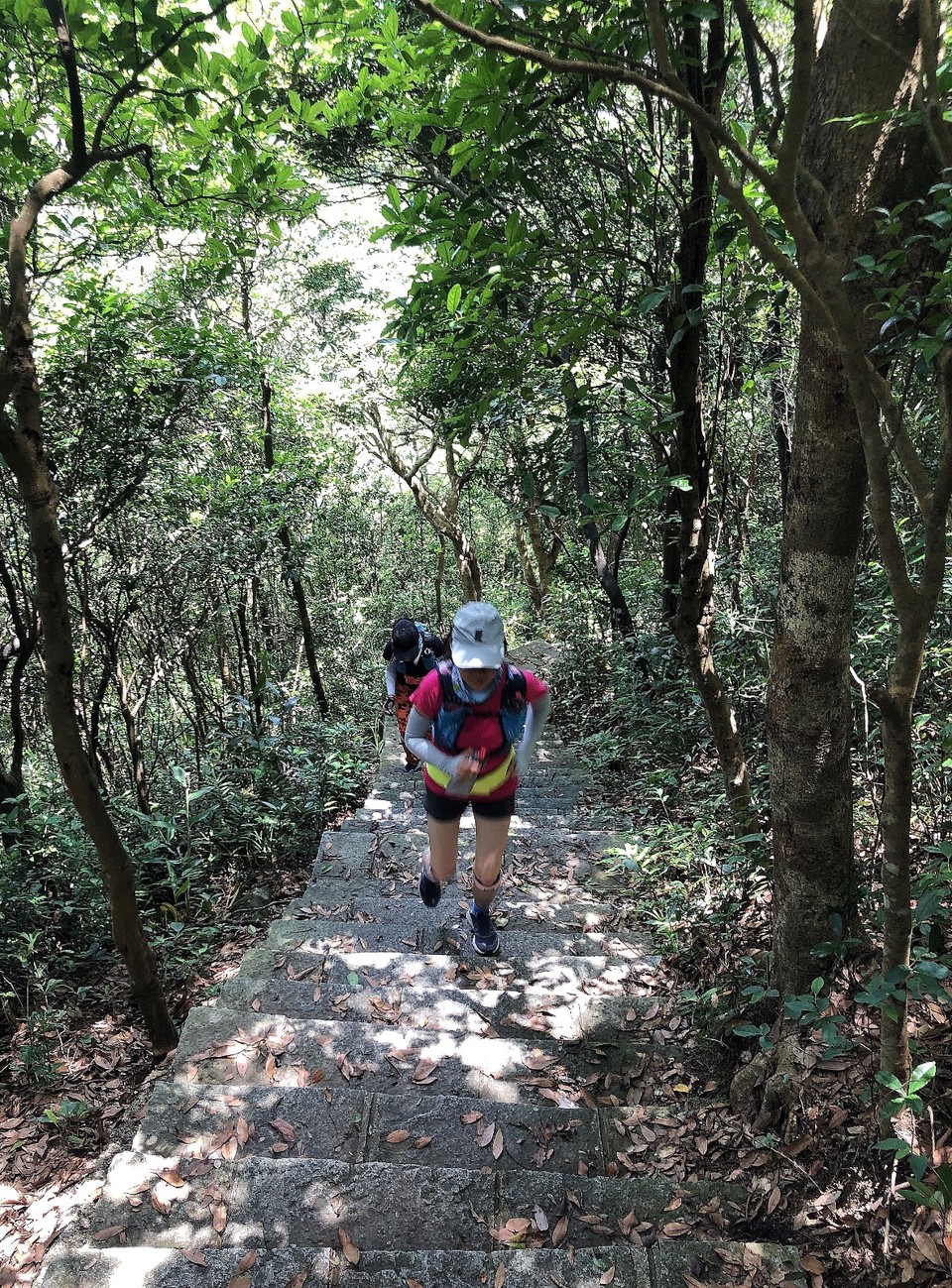 4AF0383D-EEDE-496F-AC33-14E5FFE4C366