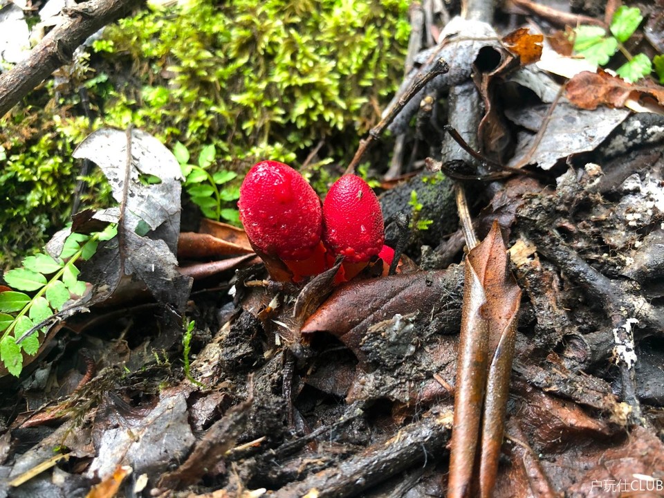 D188440D-2062-4666-A262-6F16B0D80A46