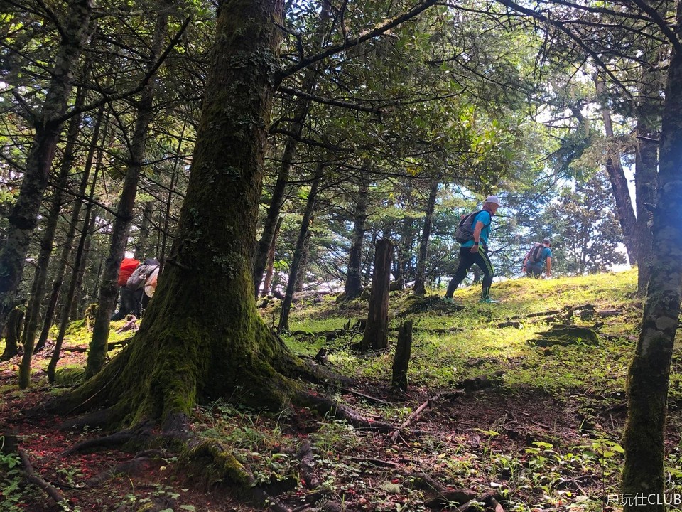 41A18631-B7E8-4E81-8362-0E5CEF3D42CA