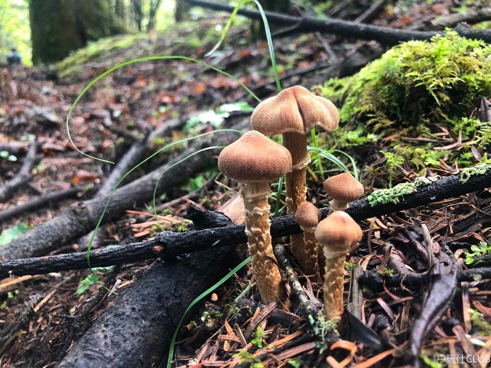 C4CC8BB1-19B1-4D0F-B9DA-0E31E55AFA84