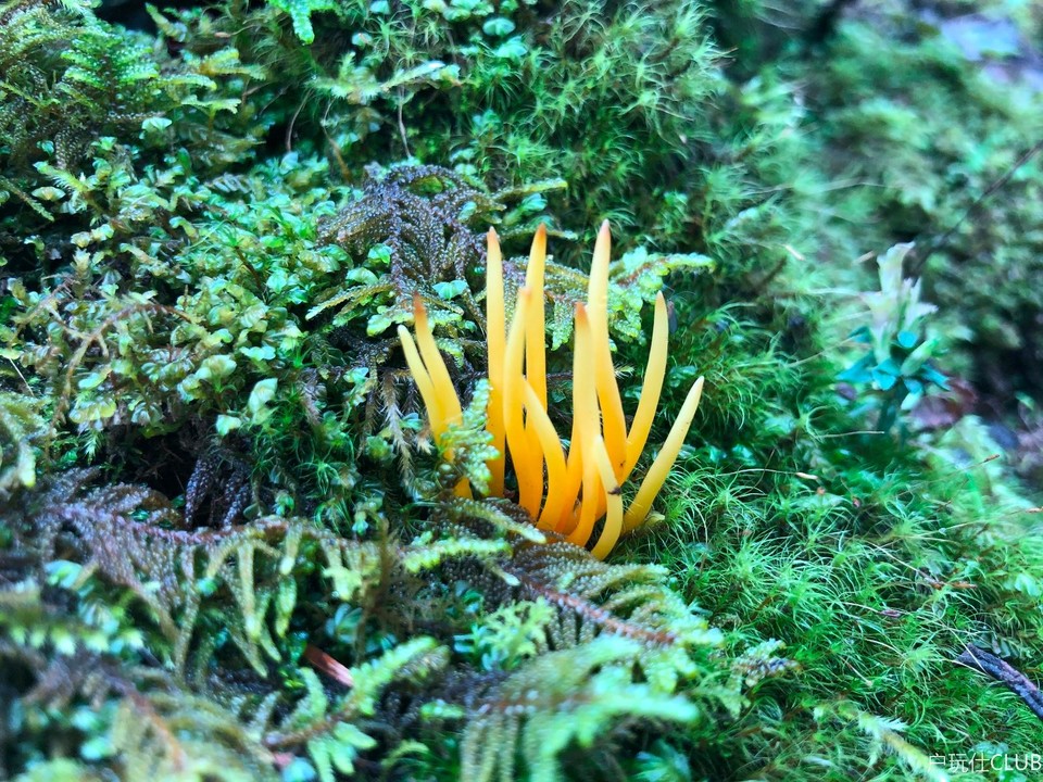 F1FE3500-F0D5-4CF0-A48E-E3E9FED4042E