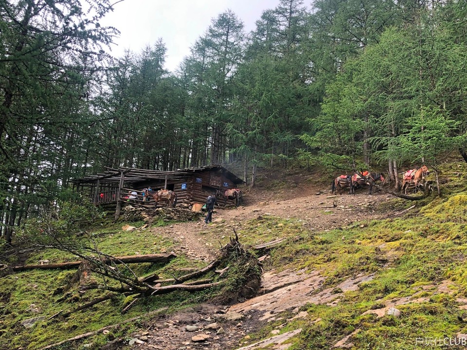 E70744C0-BF88-4FFD-B8AA-4CECB99B6967