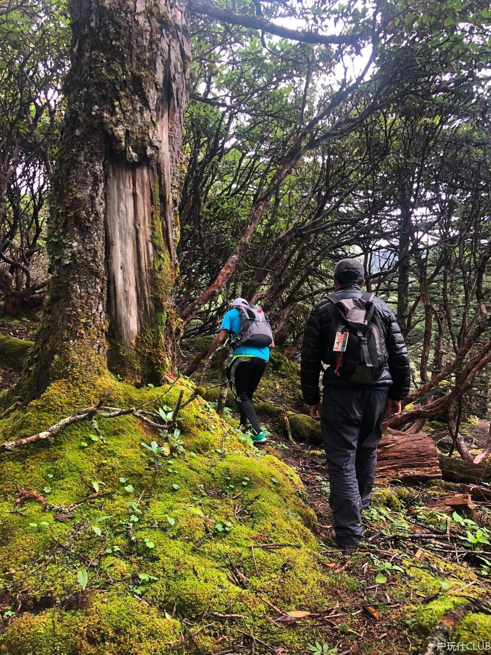 D90D1DEC-F6BE-48D6-8C91-7FE3EACFBD32