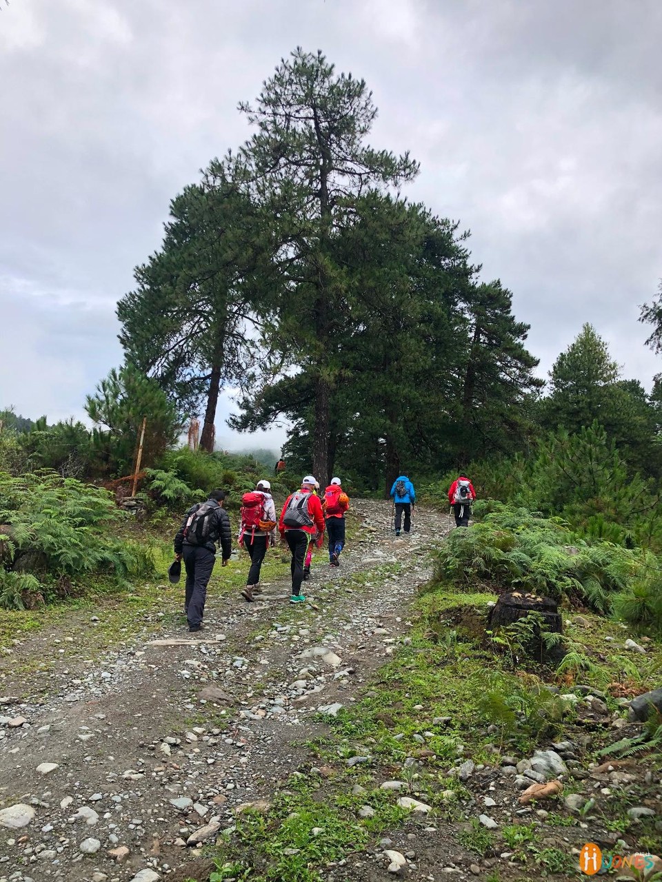 3E1B1EE8-B4A7-4804-BE8C-798363F7A2A1