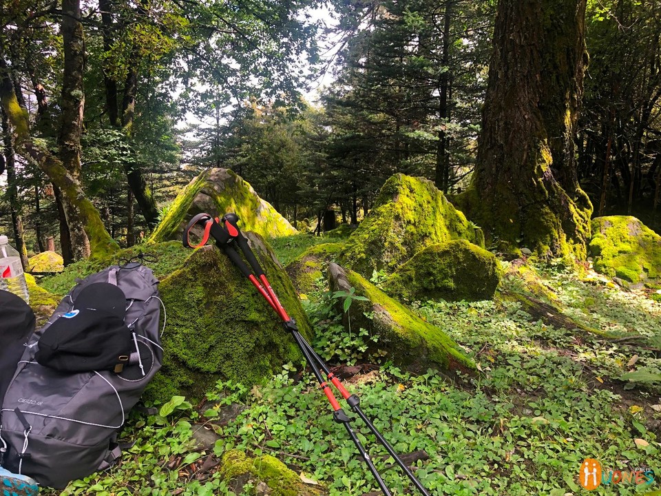 197D7879-35A3-4961-B78F-D166C540296A