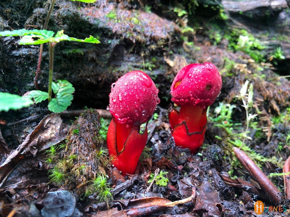 987A9405-D172-46A9-AC36-12CE39C67F55