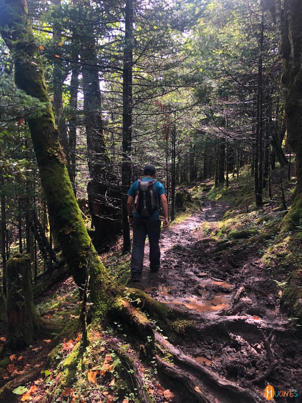 D88677F2-3621-4B22-9B87-07028589753E