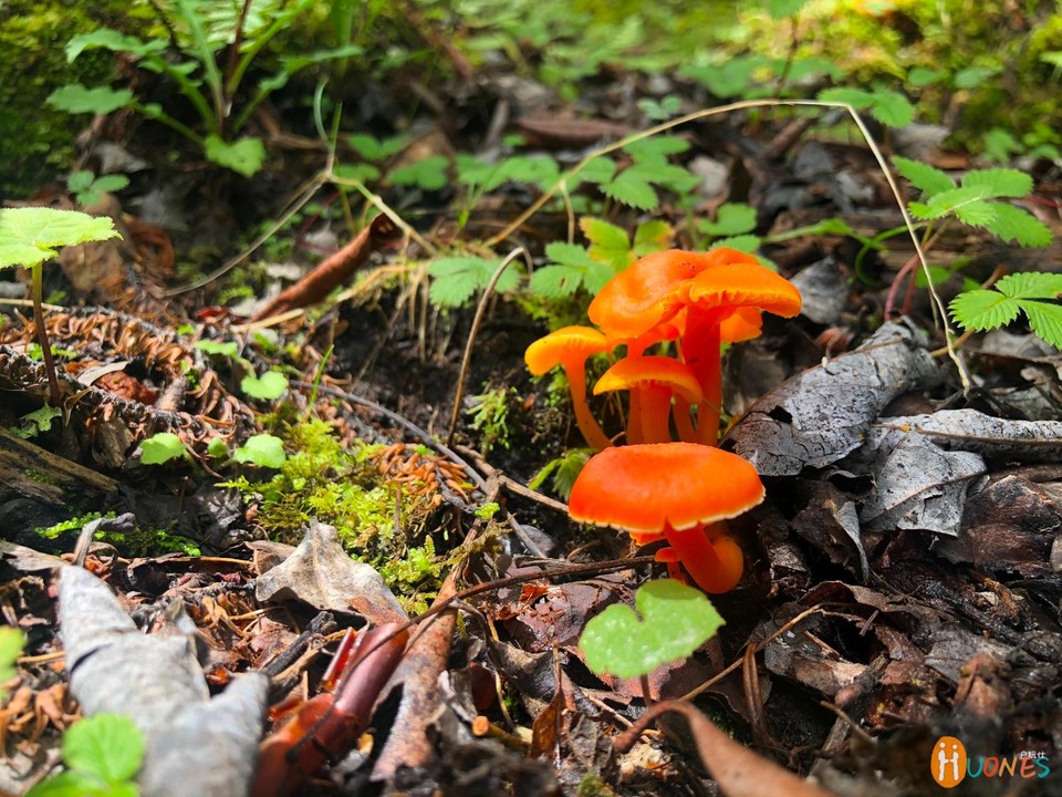 187670D4-C03C-487F-AFB2-1037971FC46D