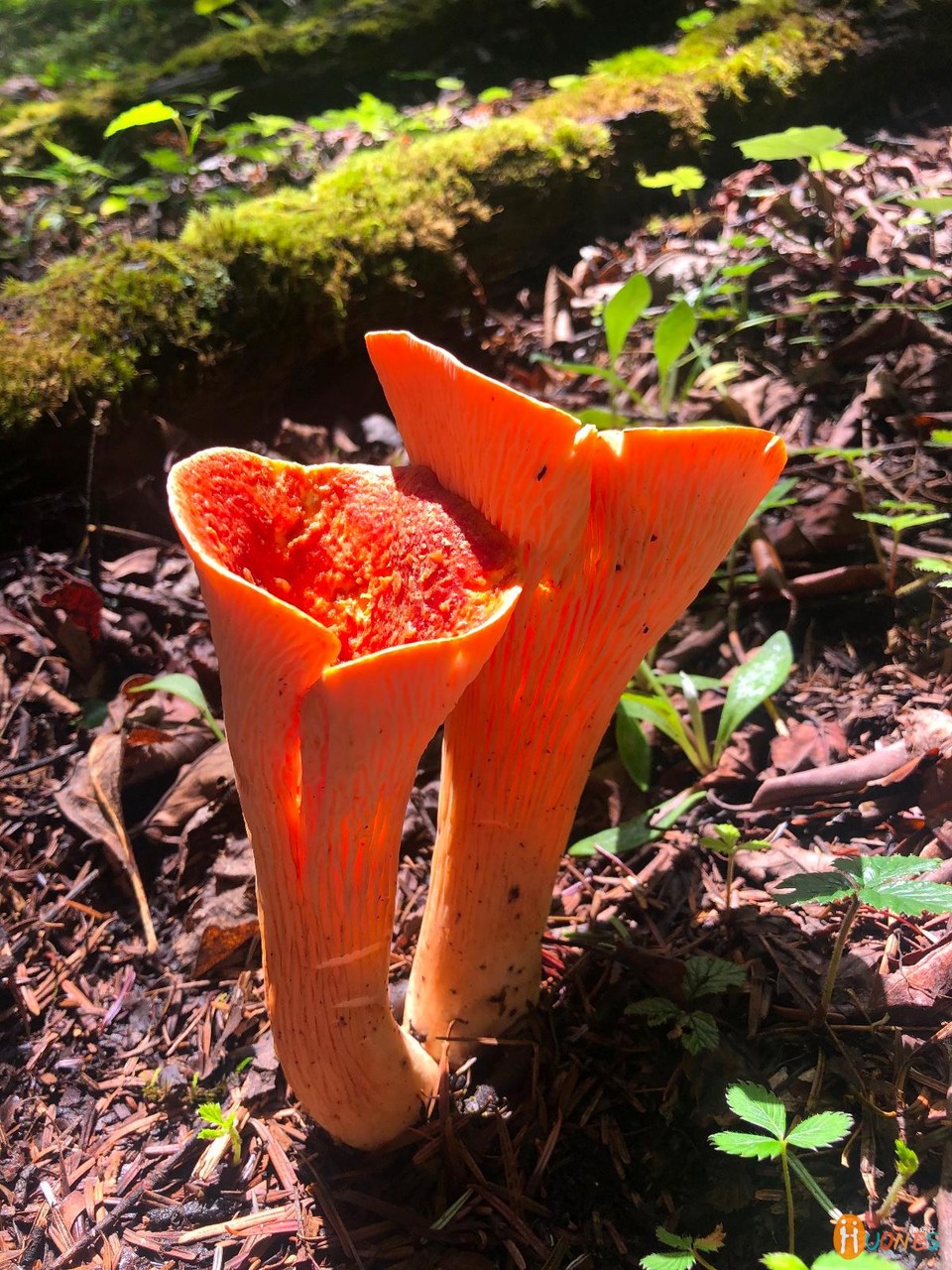 582A3B47-C4AB-4125-A9E9-CBDF40C69728