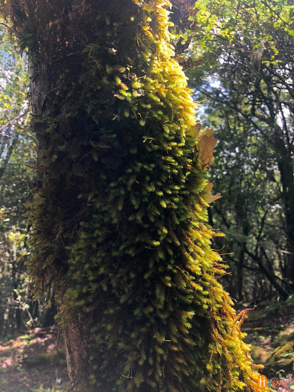 2A3F7E30-446D-4775-A8E8-72B494694CF5