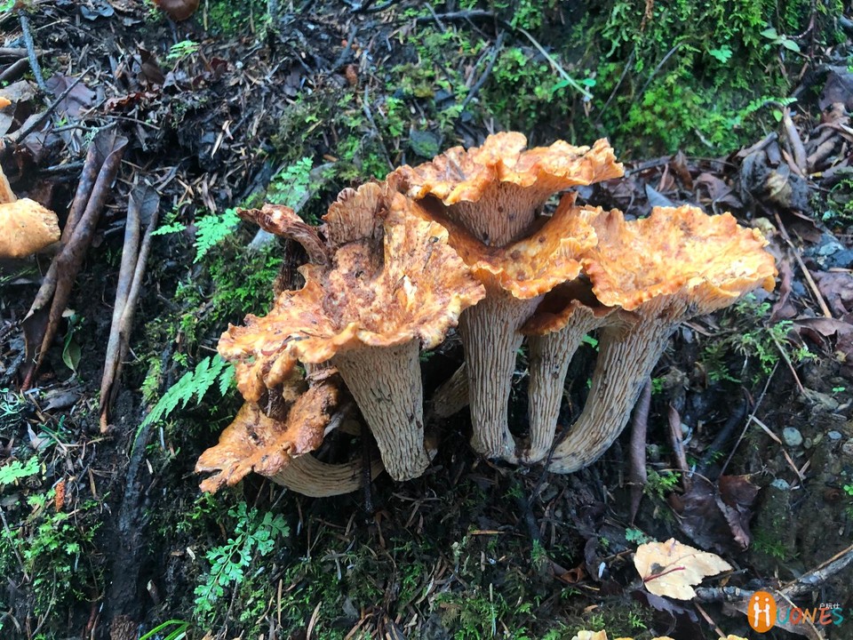 9D1B84B6-E055-449D-BBFF-D08DB680ABAE