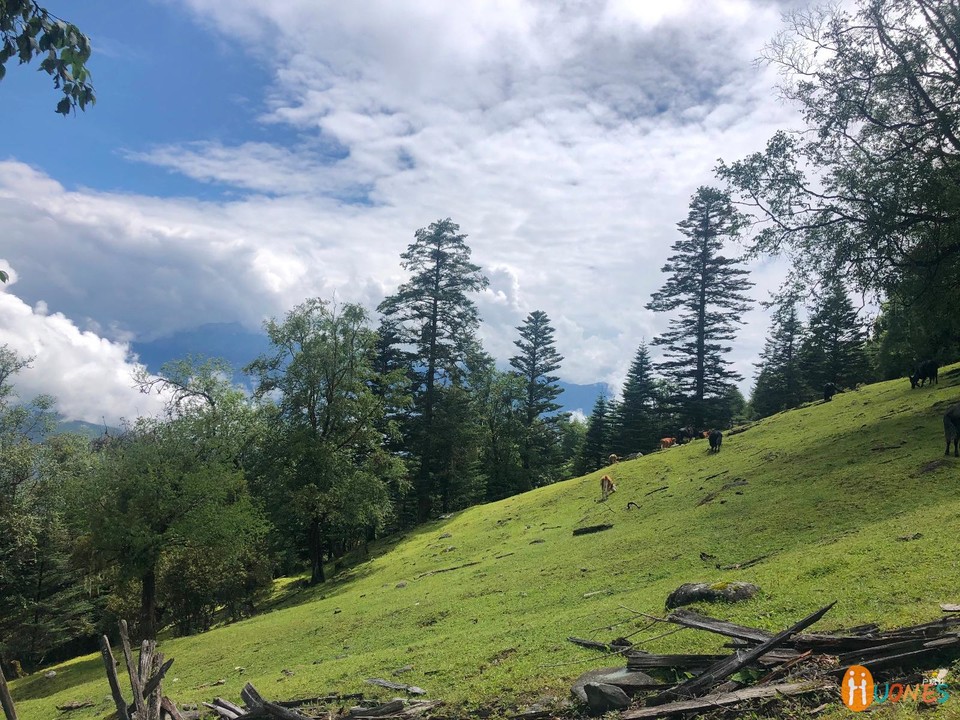 87B94BEF-02CB-4937-8B08-6C6708FF04E5