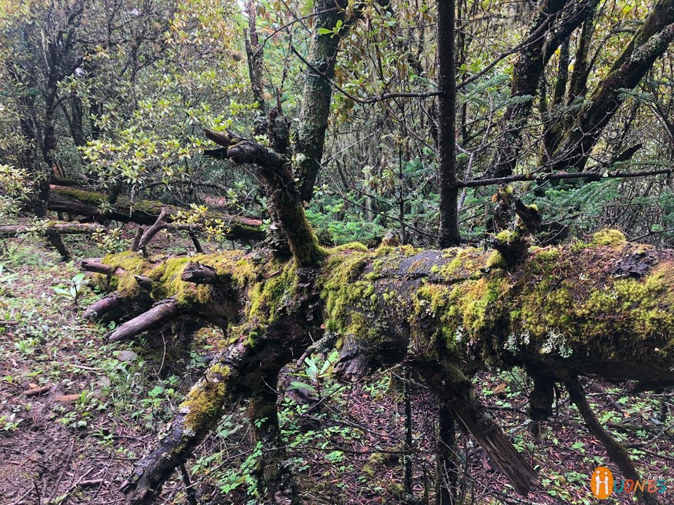 0BE32FC3-6ACB-42B1-839E-B1F411E30E1F