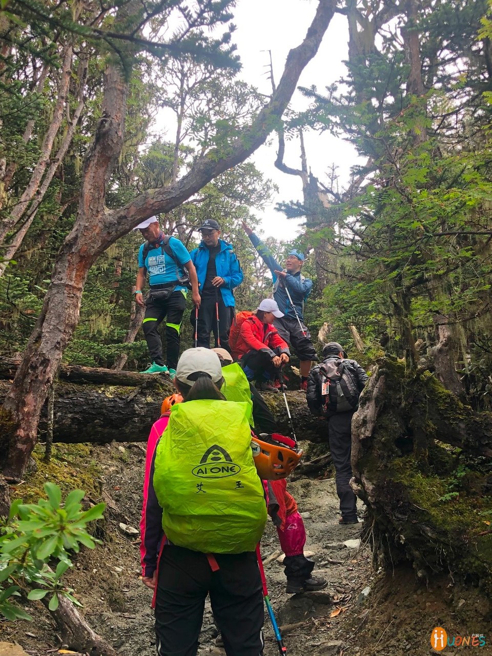 5D312F46-DF1D-4AA9-9698-0381AEAEDA95