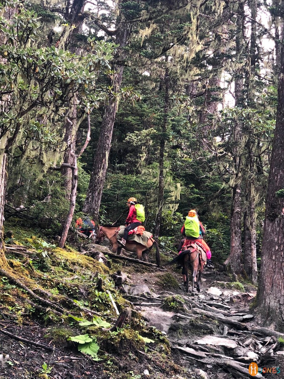 65C79065-A261-4002-A578-5953C64A8CBB