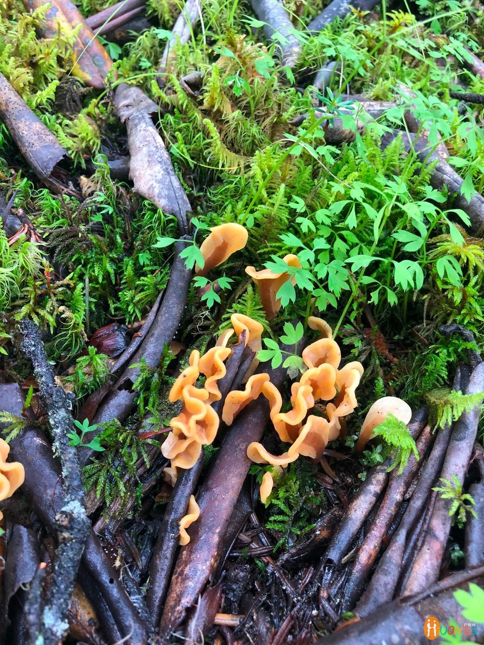 524FD597-D043-40AF-BF1B-18B59DF9CA2A