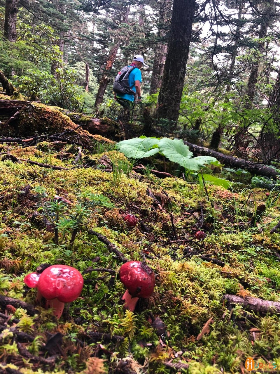 A2ED5E15-A2B8-46EA-B2A4-04E8D296722D