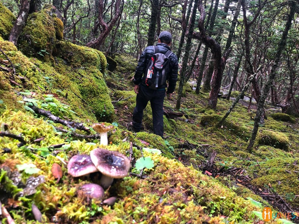 741B9623-0342-4430-B401-CEAA39B2D377