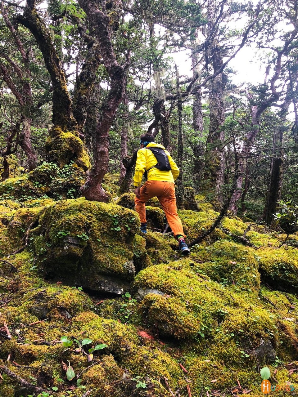 A1C0F3D7-5BA8-4CC5-B8D5-20CA663E82FF