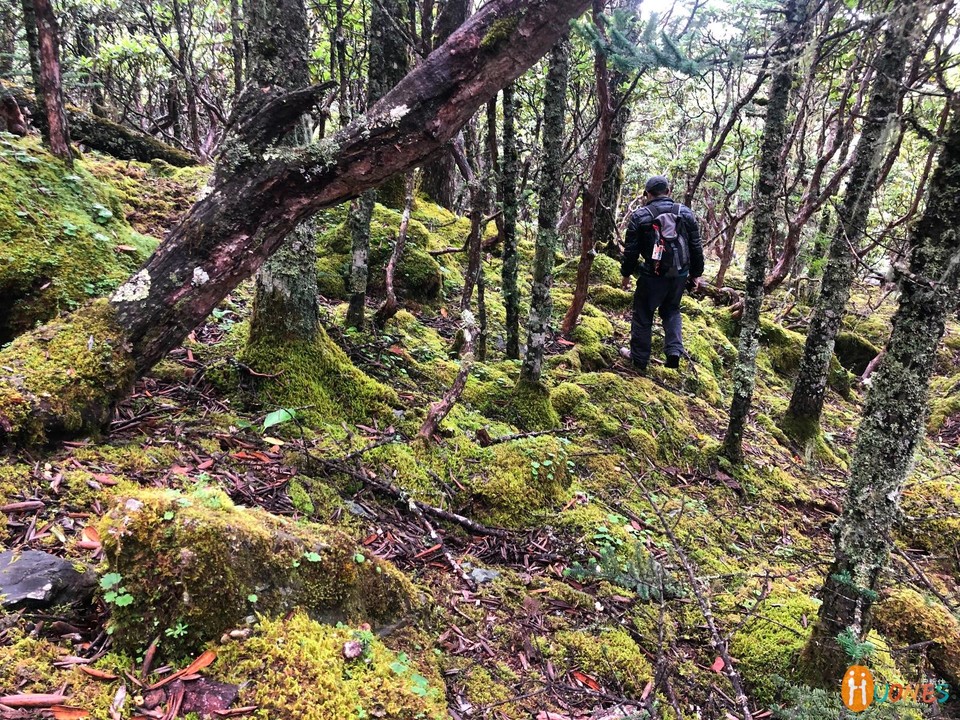 EF867388-C997-4CE2-95C3-A83842E2F78B