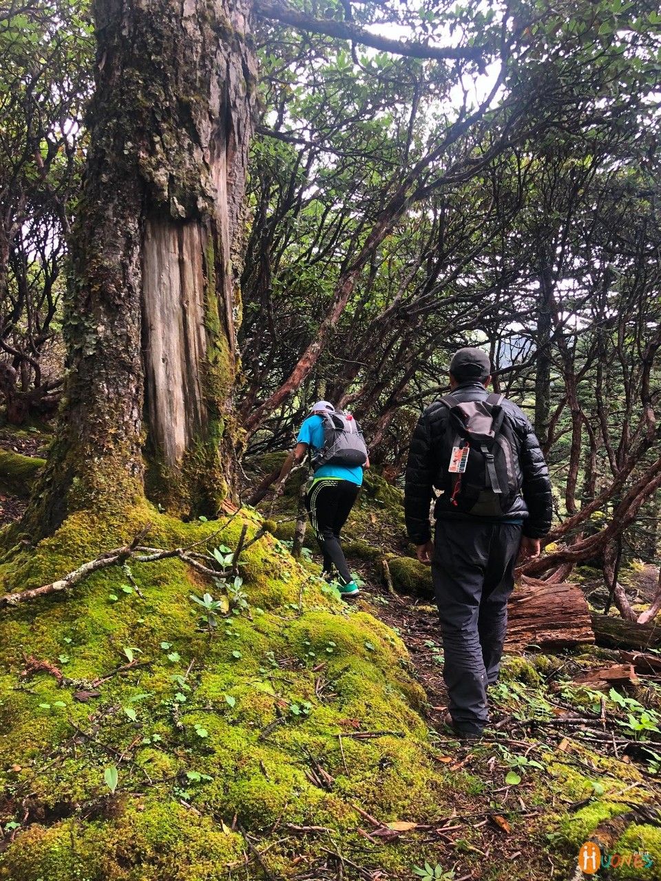 C7F271D3-240C-4CFF-9471-EB23360A329B