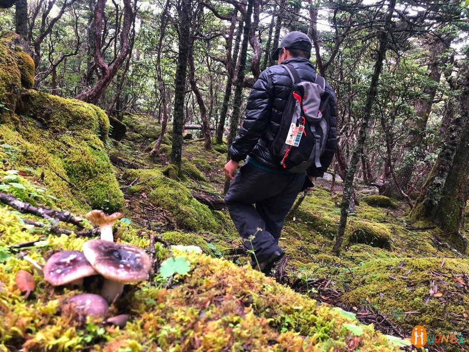 6E1A432A-45AA-4820-9F46-13D1D75B0D41