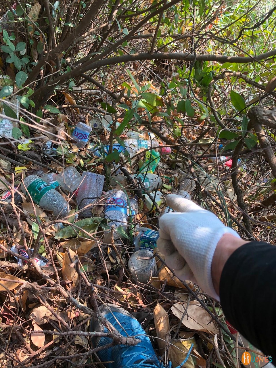 6E4E6E16-43CF-4E42-ADDC-B93A6C205507